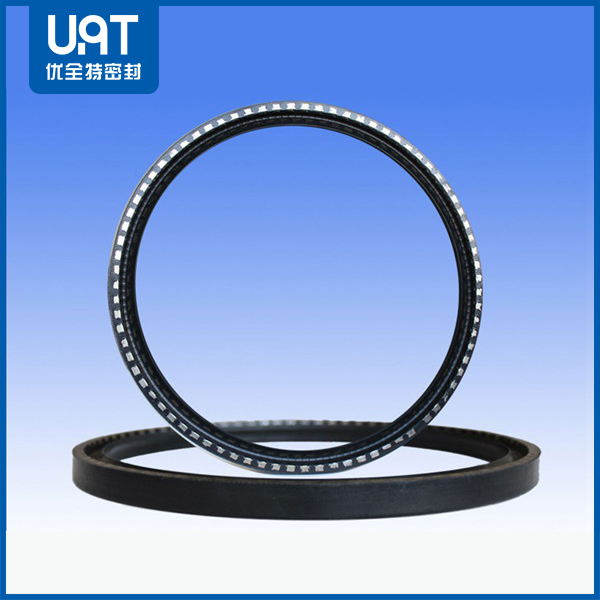 磨煤機(jī)氟橡膠骨架油封