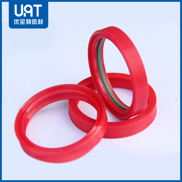 異型同軸密封件DTDI