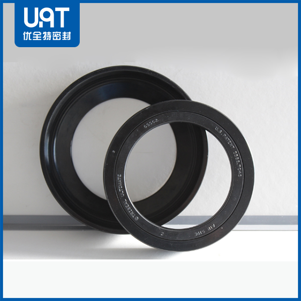 汽車(chē)輪轂氟橡膠油封 汽車(chē)輪轂氟橡膠油封