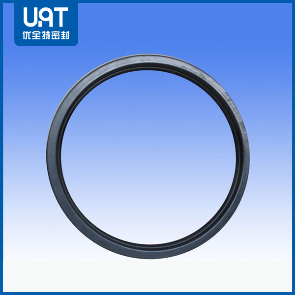 磨煤機(jī)氟橡膠骨架油封