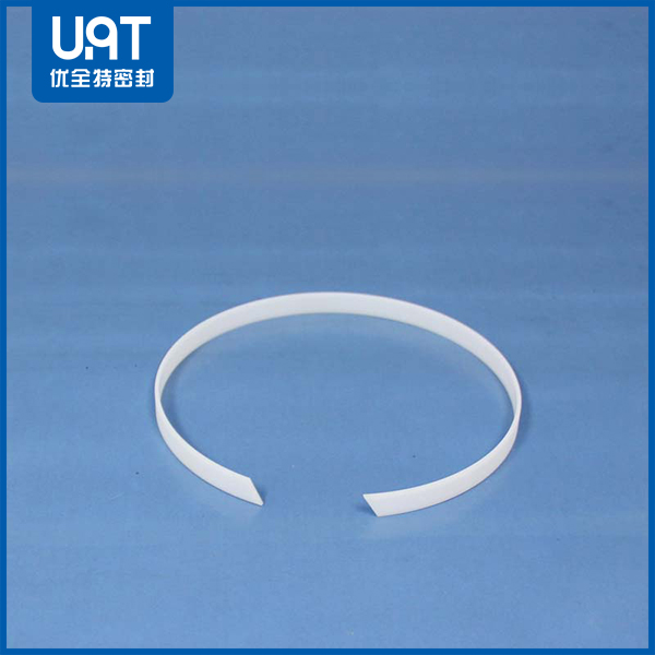 導(dǎo)向密封環(huán)DST 導(dǎo)向密封環(huán)DST