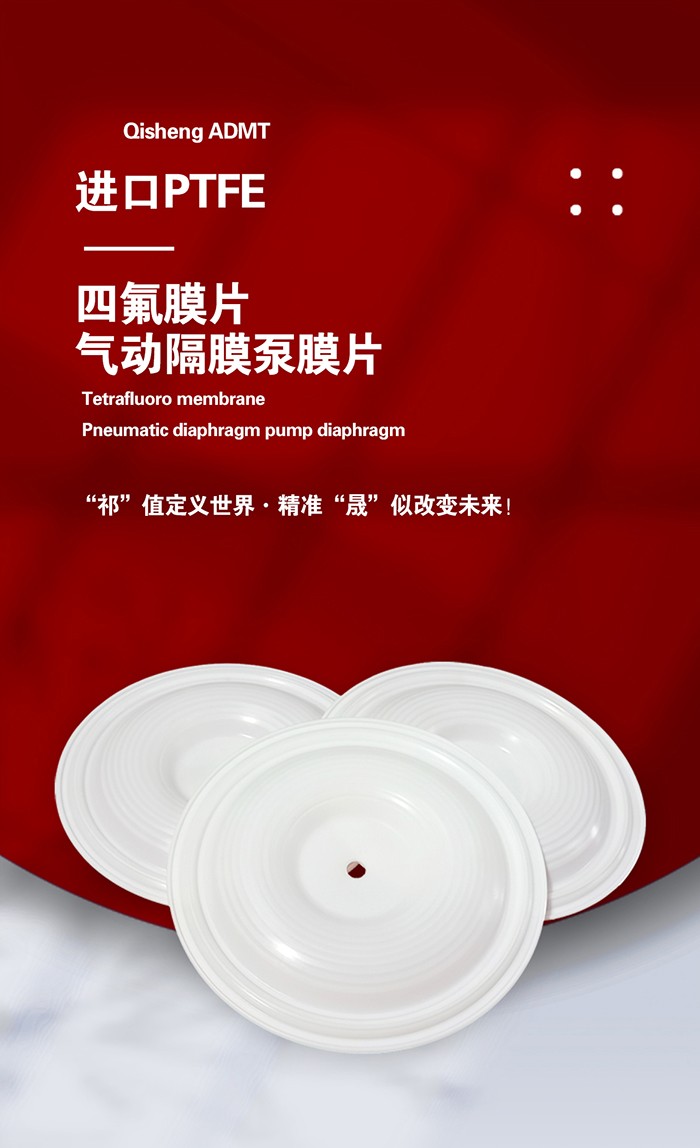 氣動(dòng)隔膜泵膜片油封- 副本 氣動(dòng)隔膜泵膜片油封- 副本
