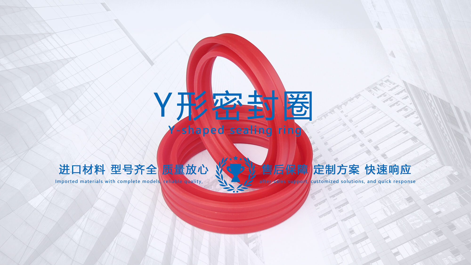 y型密封圈（又Y形密封圈，Y形圈，Y型圖或唇形密封圈，密封件油封膜片） (3)