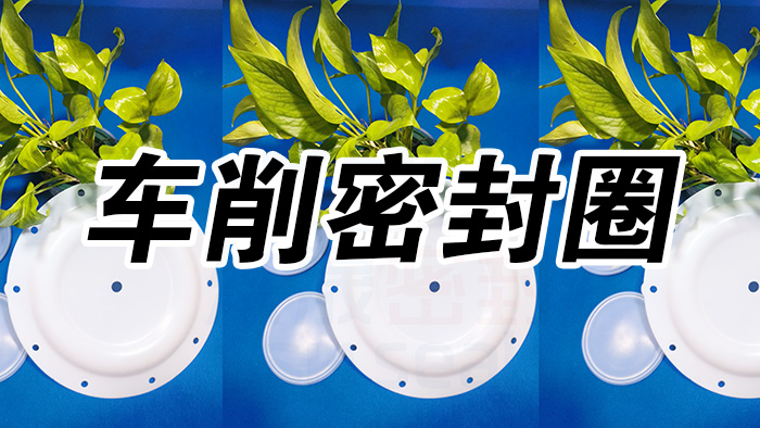 2車削密封圈，氣動隔膜泵膜片密封件